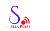 BenSela Pulse